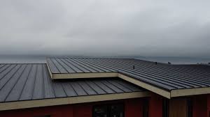 Best Roof Insulation Installation  in Lake Junaluska, NC